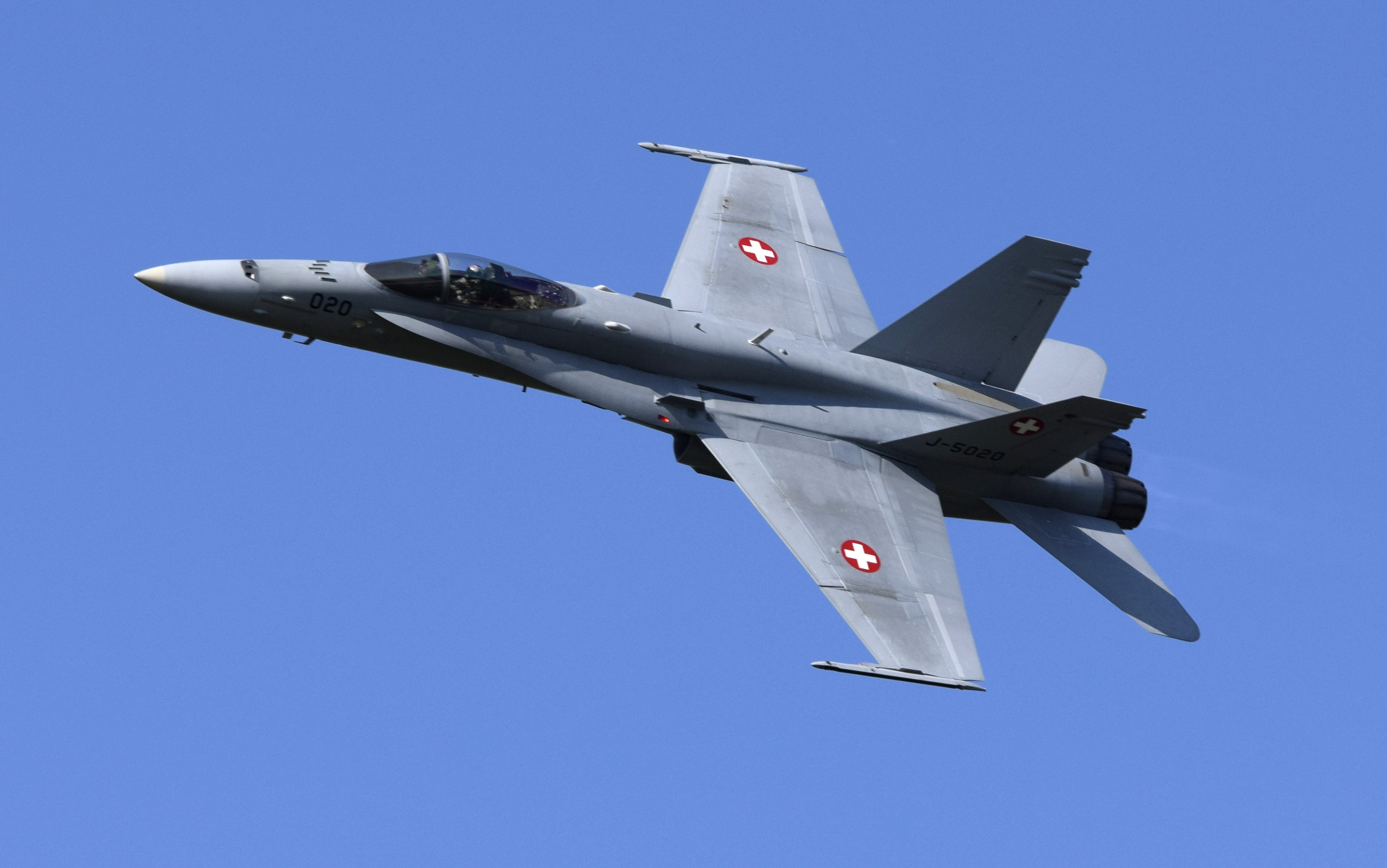 F/A-18 Hornet Solo Display Swiss Air Force