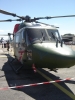 Lynx anglais